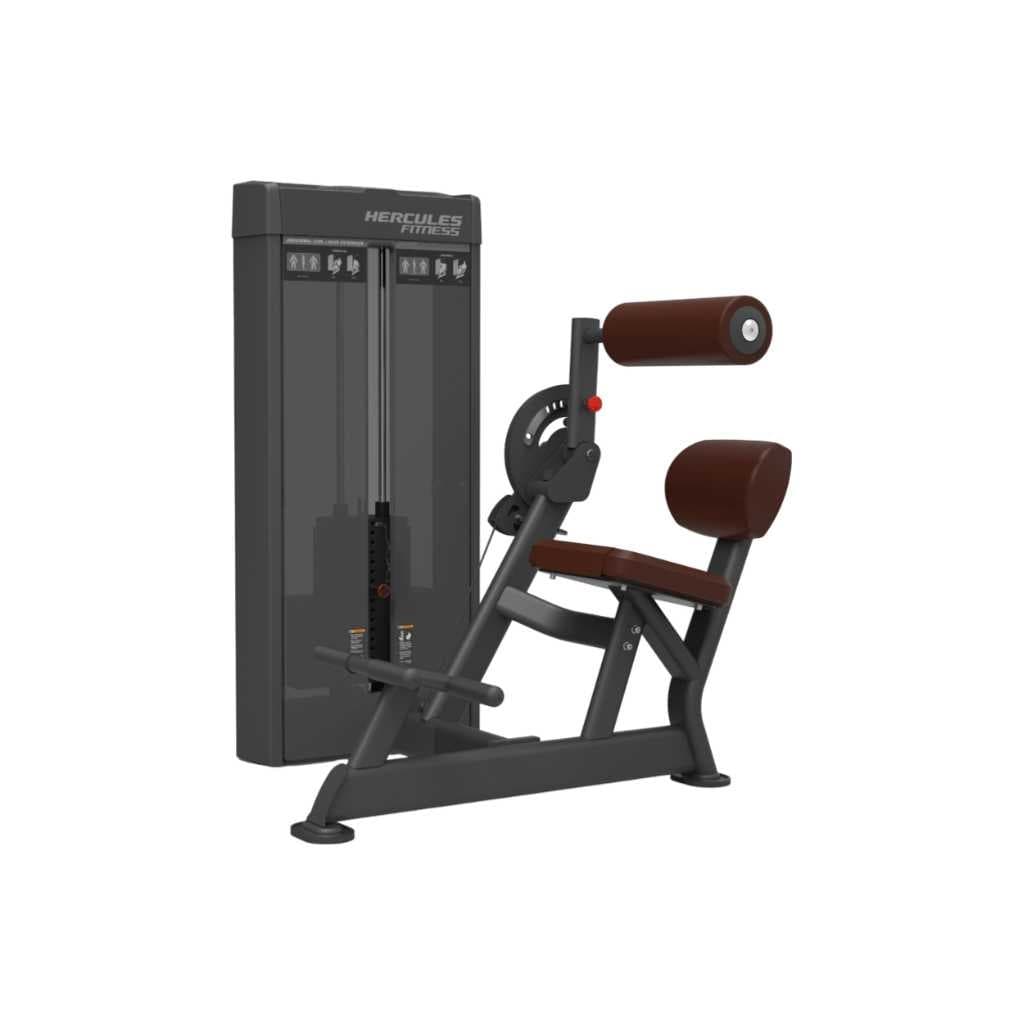 Dior DI29 Abdominal and Back Extension