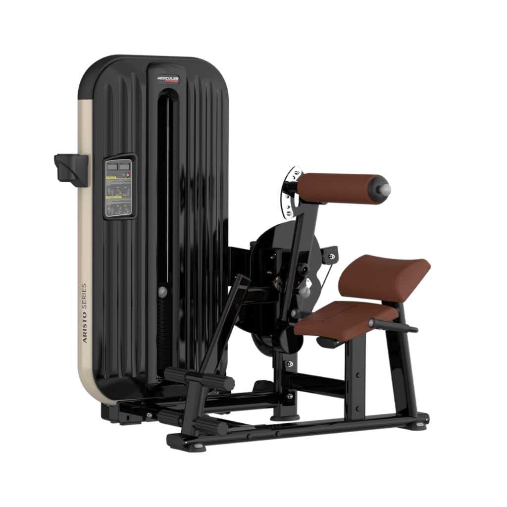 Aristo AR910 Low Back with Abdominal Machine