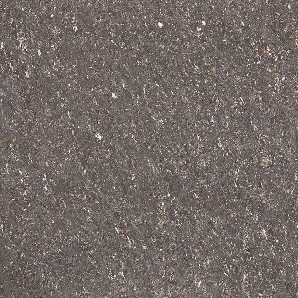 Aparna's Vitero Standard Tiles – Atlas Black