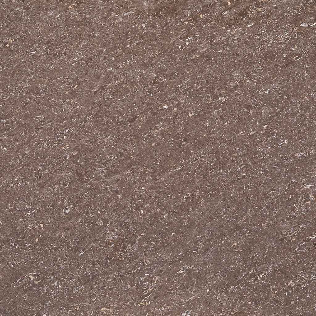 Aparna's Vitero Standard Tiles – Atlas Choco