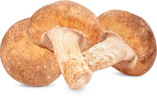 Fresho Mushrooms Approx .180g - 200 gm