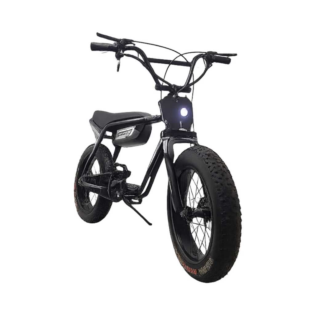 VigorEbike VX Electric Cycle